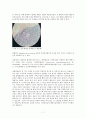 3. Gram Staining  Differential Staining 7페이지