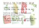 스포츠 영양학 (영양소, 수분과 수화, 탄수화물 & 혈당지수, 비타민과 무기질, 식이보충제 기능성 향상 보조제).pptx 5페이지