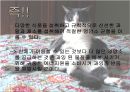 스포츠 영양학 (영양소, 수분과 수화, 탄수화물 & 혈당지수, 비타민과 무기질, 식이보충제 기능성 향상 보조제).pptx 6페이지