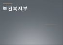 보건복지부 (보건복지부의 변화, 조직변화변수).PPT자료 1페이지