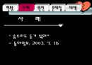 황혼이혼문제_사회문제 6페이지