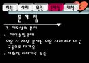 황혼이혼문제_사회문제 13페이지