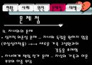 황혼이혼문제_사회문제 14페이지