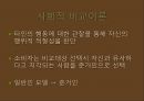 McCafe 광고분석,맥카페광고분석,광고분석사례,커피광고분석 7페이지