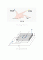 홀 효과 측정 (Hall Effect Measurements) 3페이지