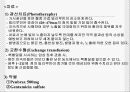 고빌리루빈혈증간호과정 4페이지