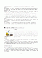 만성신부전증 10페이지