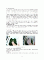 물리치료 (온열치료, 한랭치료, 전기치료, massage, 운동치료, 수동적 관절운동의 종류 ) 3페이지