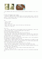 아동심장질환 12페이지