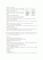 자연분만 자연분만 8페이지
