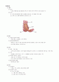 장중첩증 1페이지