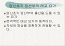 태교 요가~ 1페이지