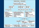 요검사의 해석 (urinalysis).ppt 6페이지