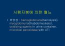 요검사의 해석 (urinalysis).ppt 7페이지