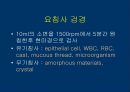 요검사의 해석 (urinalysis).ppt 10페이지