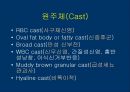요검사의 해석 (urinalysis).ppt 14페이지