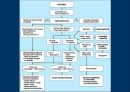 요검사의 해석 (urinalysis).ppt 25페이지