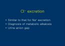 요검사의 해석 (urinalysis).ppt 28페이지