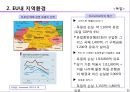 글로벌 경영 환경 - 04.EU와 미국시장.ppt 6페이지