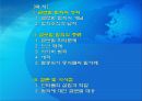 글로벌 범죄의 종류와 대응, 글로벌범죄의 정의, 종류 2페이지