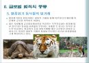 글로벌 범죄의 종류와 대응, 글로벌범죄의 정의, 종류 17페이지