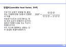 공기 (空氣 . air).ppt 14페이지