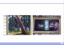위생설비 (衛生 設備) .ppt 33페이지