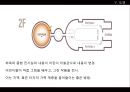 국립현대미술관.(문화시설조사보고서) 19페이지