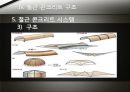 건물의 일반적인 구조. 38페이지