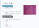 ADHD PPT 발표자료입니다- 대학원수업 A+  16페이지