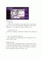 룩옵티컬(Lookoptical) 마케팅전략분석 및 기업경영분석과 룩옵티컬 개선방향 제안 6페이지