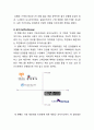 룩옵티컬(Lookoptical) 마케팅전략분석 및 기업경영분석과 룩옵티컬 개선방향 제안 11페이지