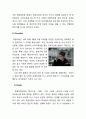 룩옵티컬(Lookoptical) 마케팅전략분석 및 기업경영분석과 룩옵티컬 개선방향 제안 14페이지