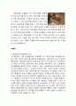 룩옵티컬(Lookoptical) 마케팅전략분석 및 기업경영분석과 룩옵티컬 개선방향 제안 16페이지
