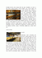 룩옵티컬(Lookoptical) 마케팅전략분석 및 기업경영분석과 룩옵티컬 개선방향 제안 18페이지