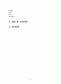 아시아나항공 기업분석과 아시아나항공 마케팅 전략분석및 아시아나항공 향후계획과 새로운 마케팅전략 제안과 나의견해 21페이지