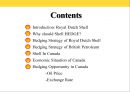 Royal Dutch Shell 2페이지