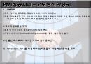PMI (합병 후 통합관리),PMI정의및유형,PMI실패원인,PMI사례 8페이지