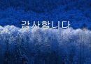 Sonic을 통해 알아본 정보시스템 이용 사례,정보시스템,정보시스템사례 20페이지
