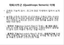 대퇴 사두근 좌상 재활 운동.PPT자료 2페이지
