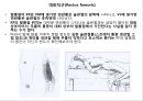 대퇴 사두근 좌상 재활 운동.PPT자료 19페이지