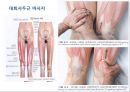 대퇴 사두근 좌상 재활 운동.PPT자료 24페이지