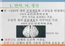 언어와 심리 - 신경언어학과 심리언어학  5페이지