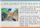 언어와 심리 - 신경언어학과 심리언어학  35페이지