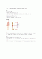백혈병 문헌고찰 4페이지