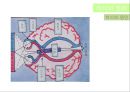 색채학_디자인_착시 6페이지