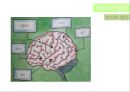 색채학_디자인_착시 7페이지