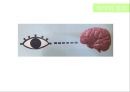 색채학_디자인_착시 10페이지