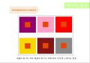 색채학_디자인_착시 21페이지