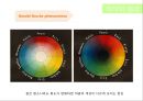 색채학_디자인_착시 25페이지